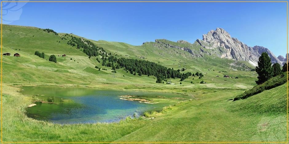 Apartments Villa Rosa Selva di Val Gardena Eksteriør bilde